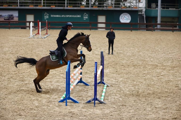 spor tişörtü | tshirtbaskicisi.com