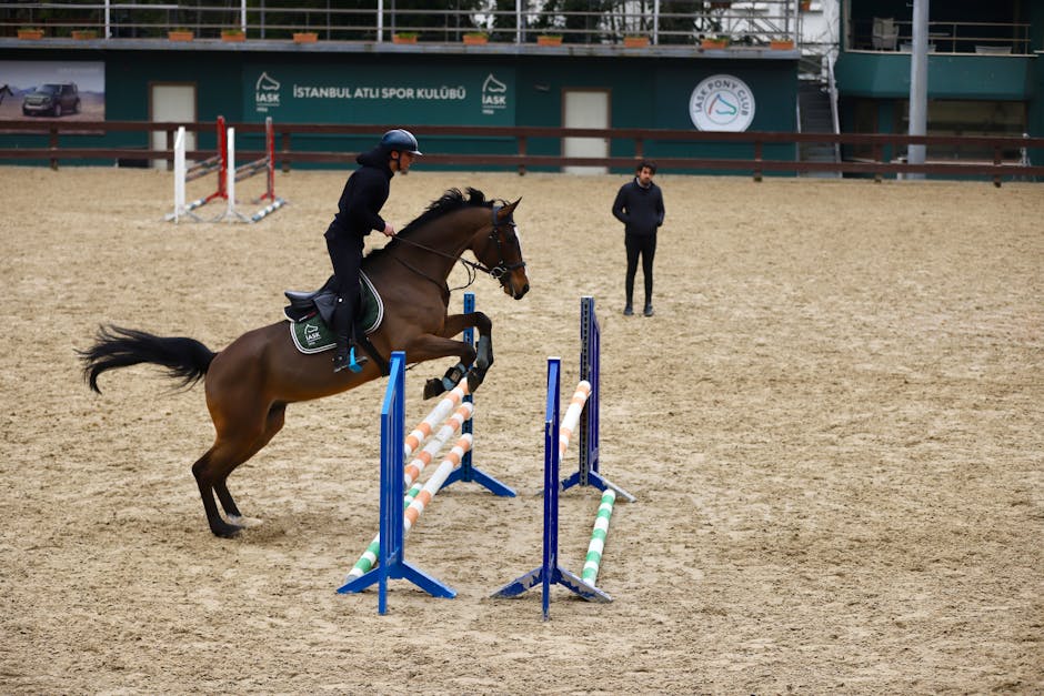 spor tişörtü | tshirtbaskicisi.com